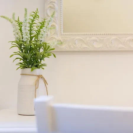 La Civetta - Relax E Stile A Wi-fi & Ac * Galatina